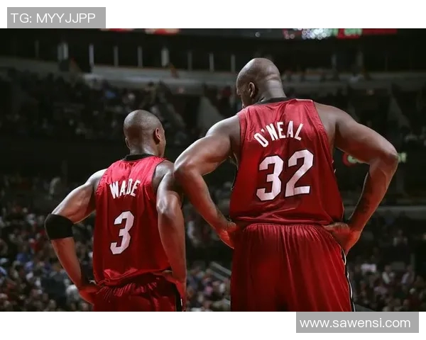 2009年公牛队与热火队的经典对决回顾及其影响分析