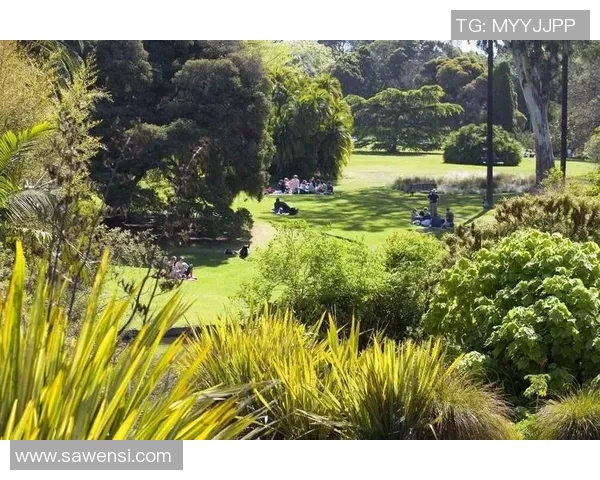 墨尔本骑士与墨尔本港激战在即谁将赢得这场城市德比的荣耀 墨尔本骑士与墨尔本港激战在即谁将赢得这场城市德比的荣耀