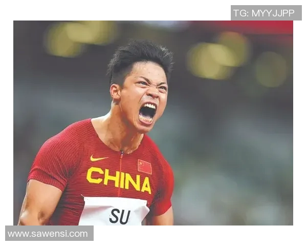 史鸿飞：探索科技前沿与人文关怀的交汇点与未来发展之路