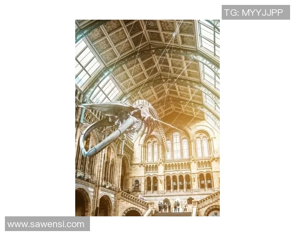 布莱克尼的魅力探索：揭开这座城市的历史与文化之谜