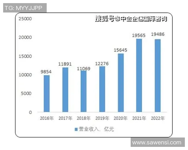 新秀及年轻球员崛起之路探讨与未来发展趋势分析