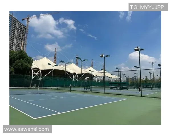 武汉网球队在世锦赛中的状态分析与表现评估探讨 武汉网球队在世锦赛中的状态分析与表现评估探讨