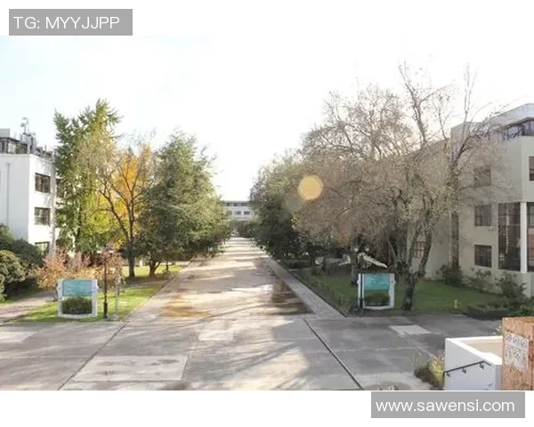 特木科与智利大学的较量:谁能在南美洲学术舞台上脱颖而出