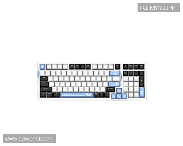 提升游戏体验的CSGO键盘选购指南与推荐